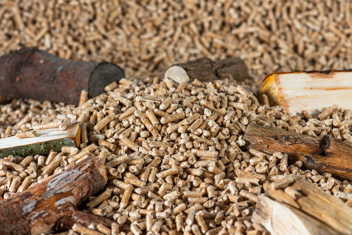 Close-up of wood pellets surrounded by pieces of raw timber